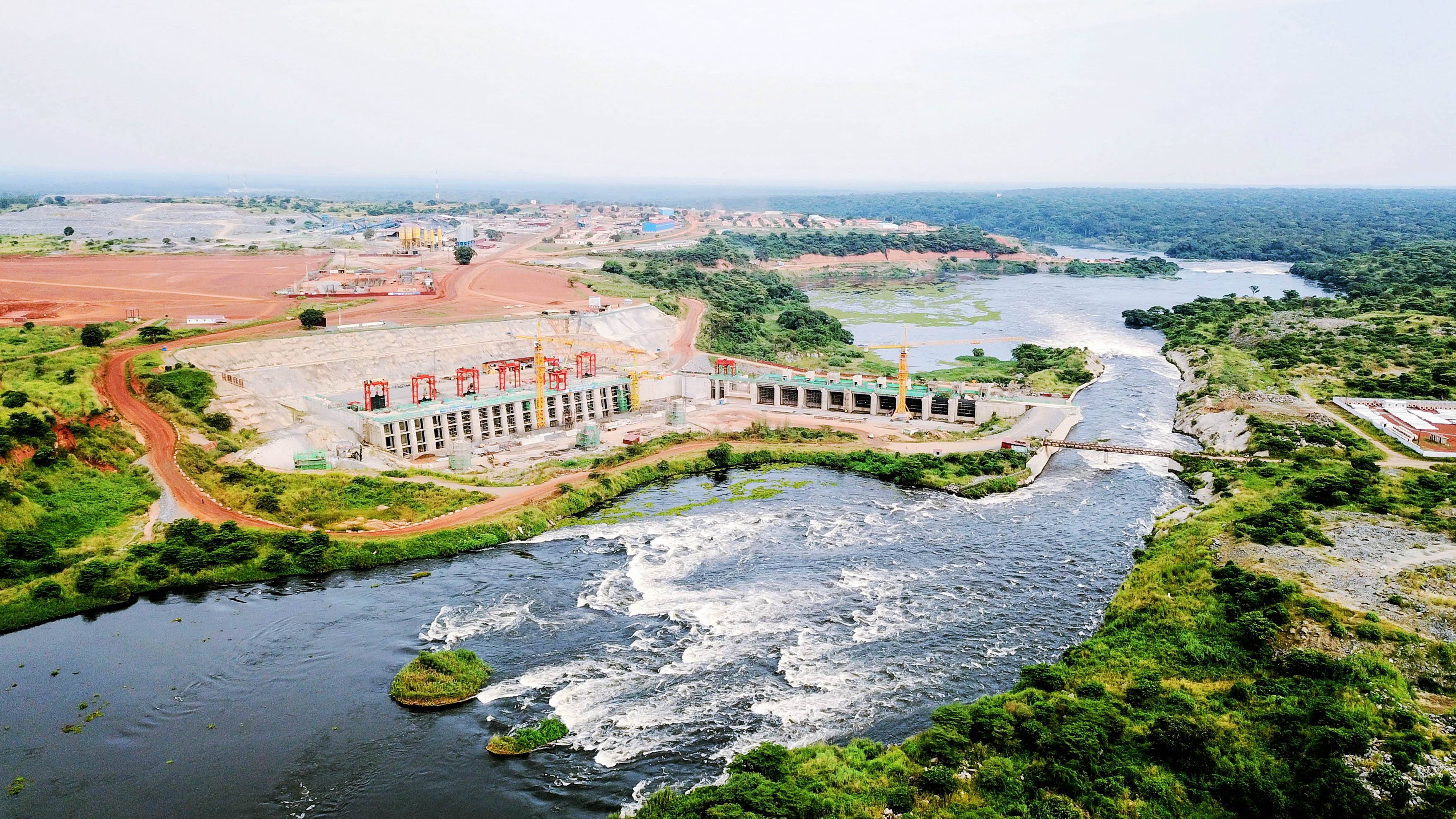 1575358549363618.jpg timg.jpg